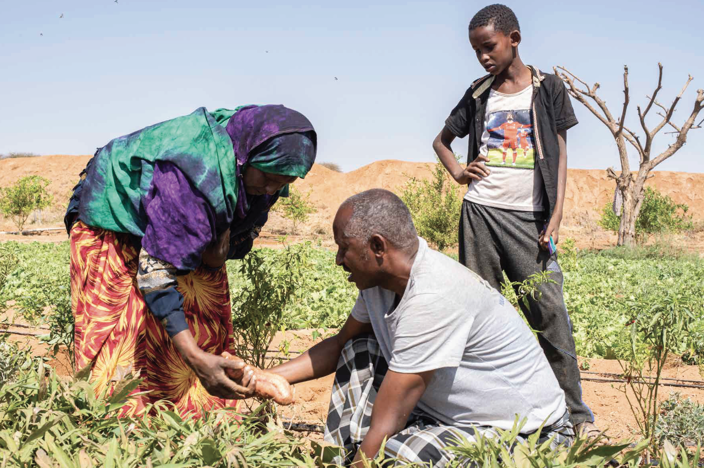 Economic Livelihoods 